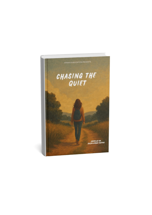 Chasing The Quiet
